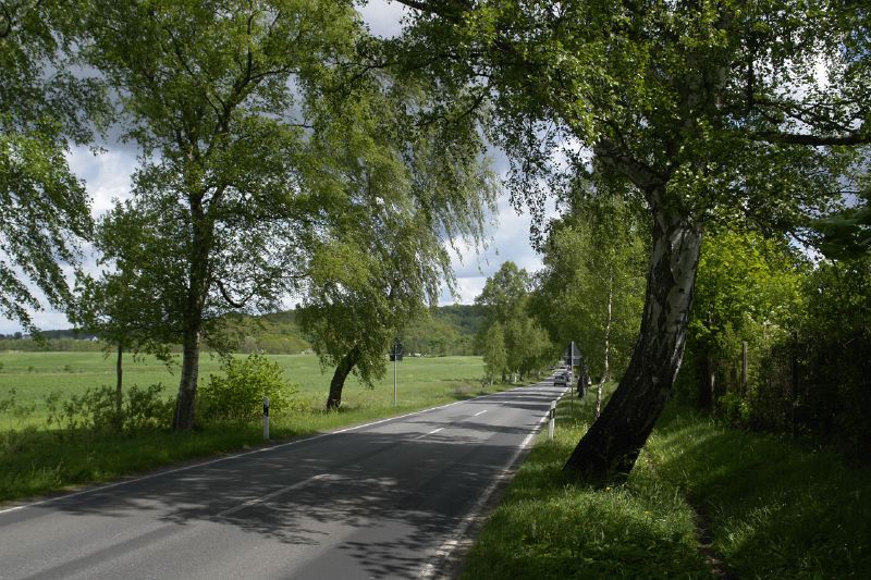 jo_15148_2006.jpg